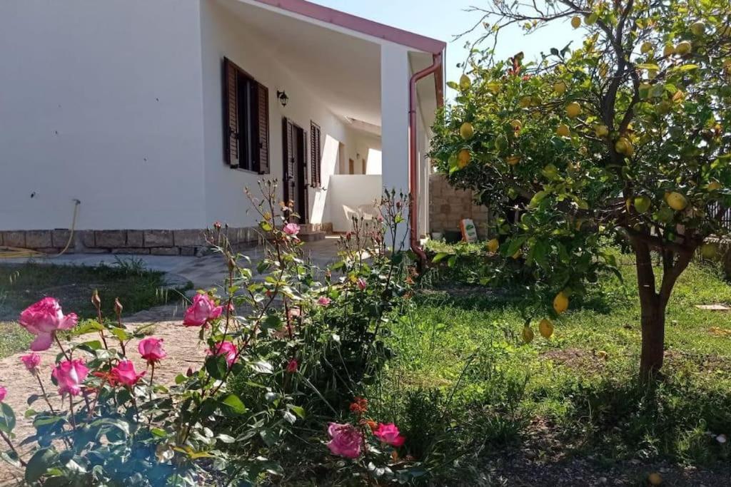 Vila Casa Bellavista Villarios Exteriér fotografie